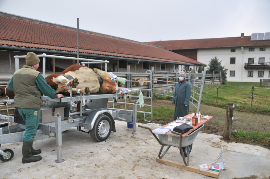 Zitzenoperation mit mobilem Kippstand